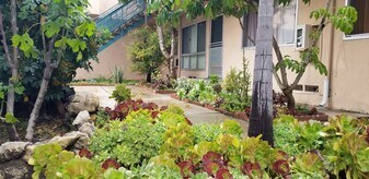 Courtyard - 351 Riverdale Dr