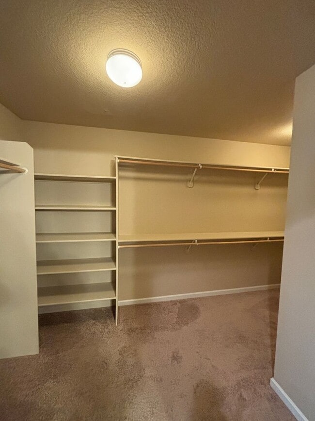 Building Photo - NW Portland- Newer Bethany Home! Gourmet Kitchen, Open Loft/Landing, Large  Master Suite!