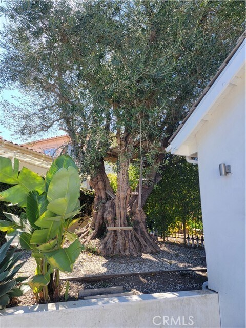 Building Photo - 1024 Granvia Altamira