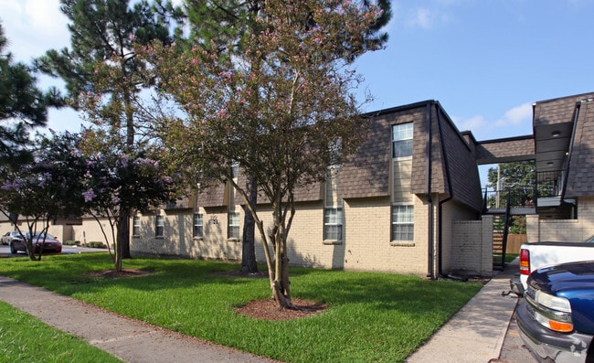 Pines - The Pines Apartments