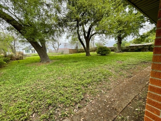 Back yard w 3 Large Trees - 2024 1st St N