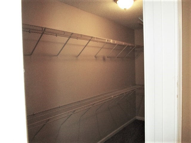 Building Photo - 117 Bainbridge Ct