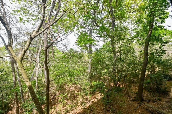 Building Photo - 6529 Bayou Glen Rd