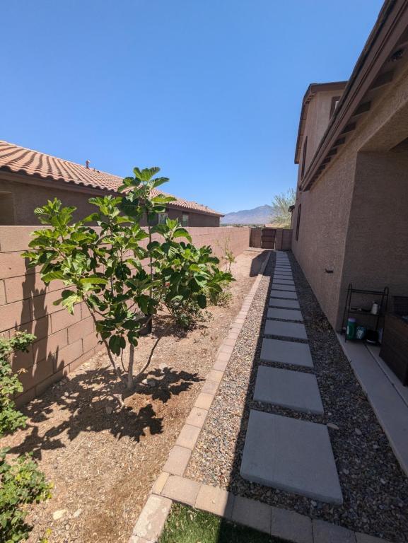 Building Photo - 10242 S Pantano Knolls Dr