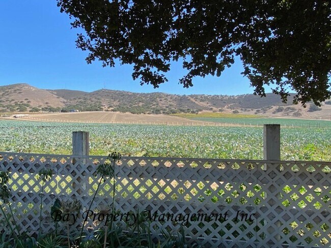 Building Photo - Beautiful 3 bedroom in the foothills outsi...