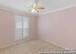 Building Photo - 317 Sunrose Ln