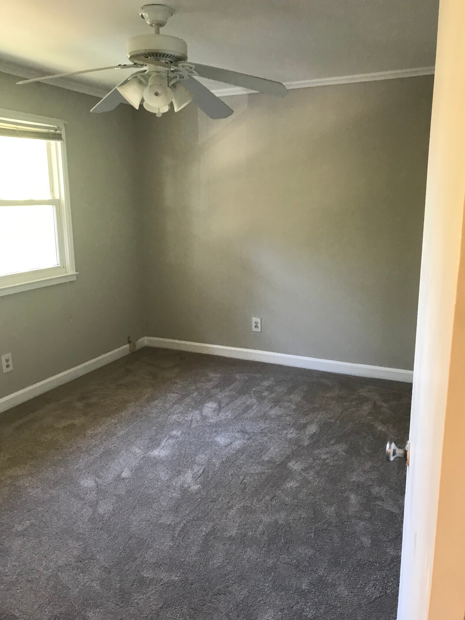 Building Photo - 701 Daniels St