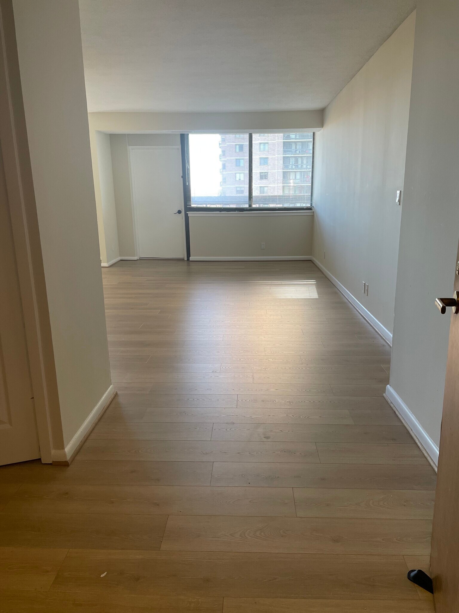 living room - 5501 Seminary Rd