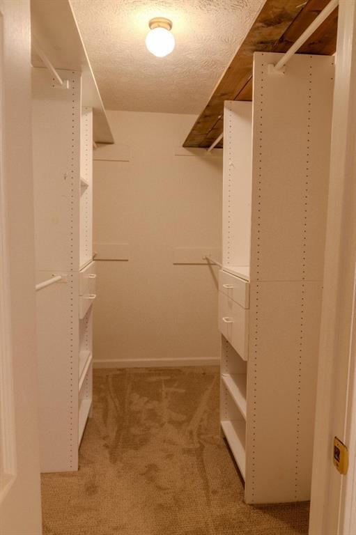 Building Photo - 2858 Livsey Dr