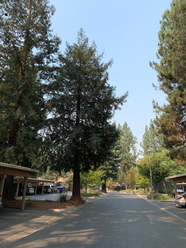 Building Photo - Adorable 3 Bed 1.5 Bath Covell Commons Condo ( fall Rental )