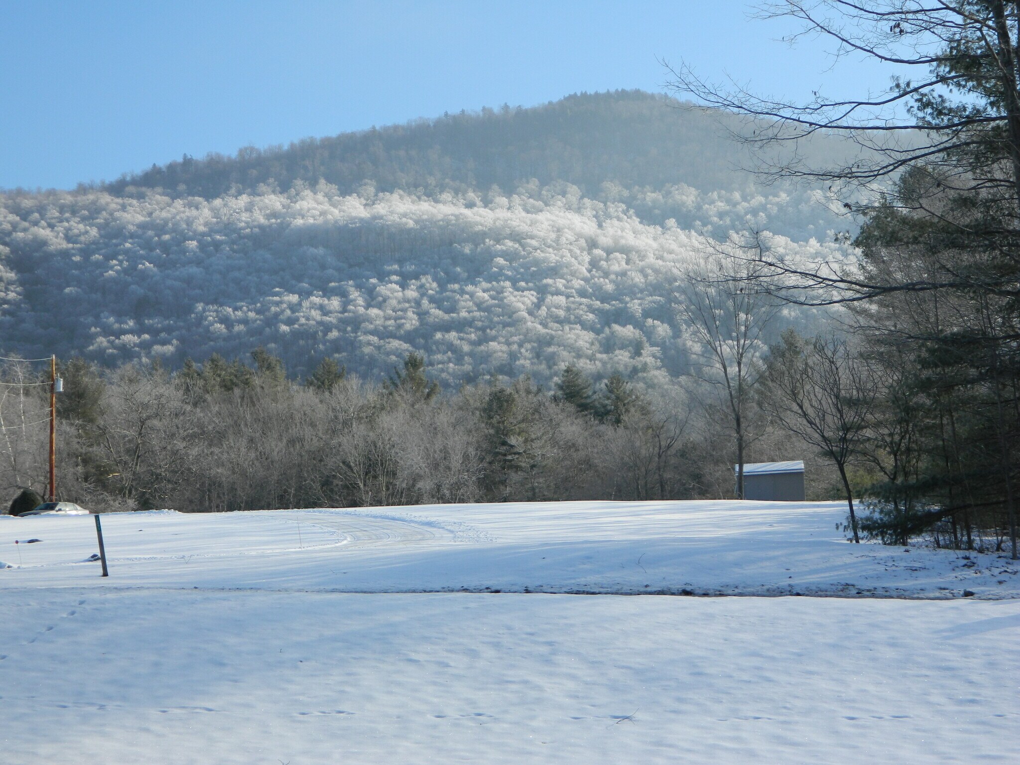 Building Photo - 1256 Town Line Rd