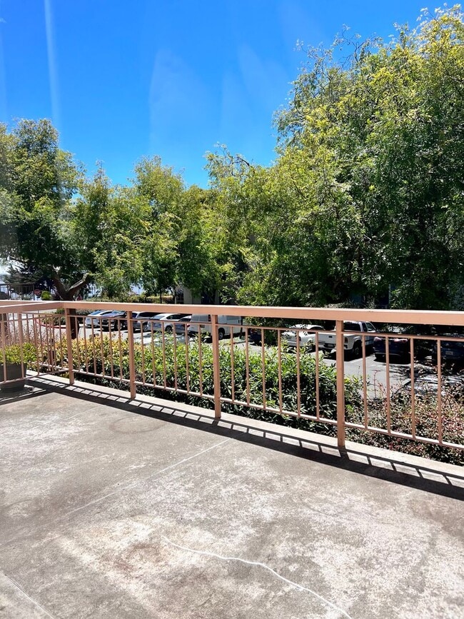 Building Photo - Bright 1/1 with an extra large patio, park...