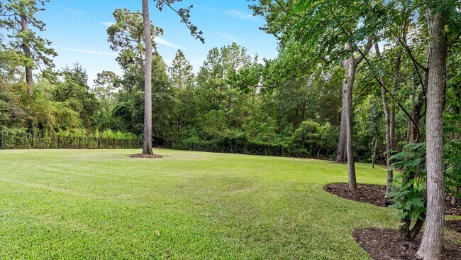Building Photo - 25019 Butler Hill Ct