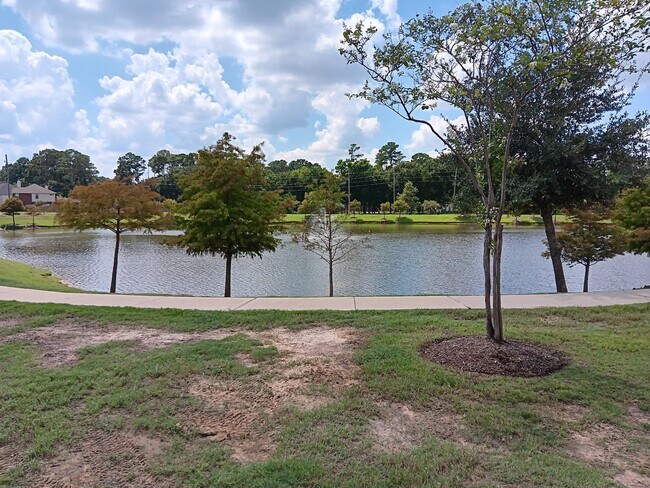 Building Photo - 10002 Blissfull Valley Ln