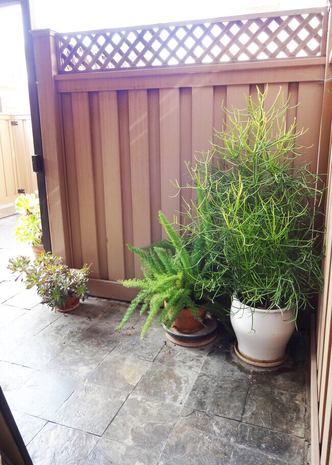 Patio outside of Living room/Dining room - 1010 Palm Ave
