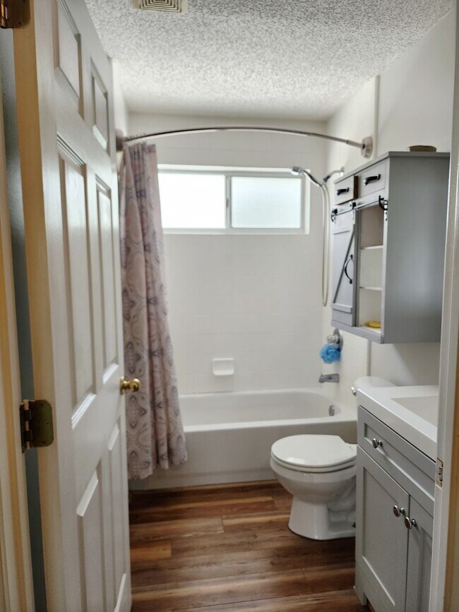 Building Photo - 4 Bedroom 2.5 Bath with in ground pool located in Lake Asbury