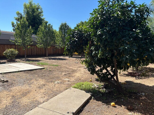 Building Photo - Desirable Brentwood Neighborhood!