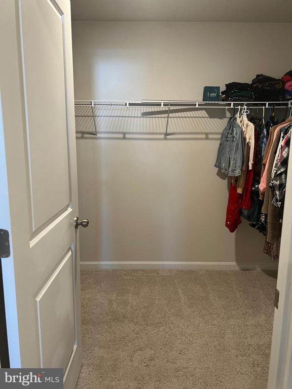 Building Photo - 115 Bell Tower Ln