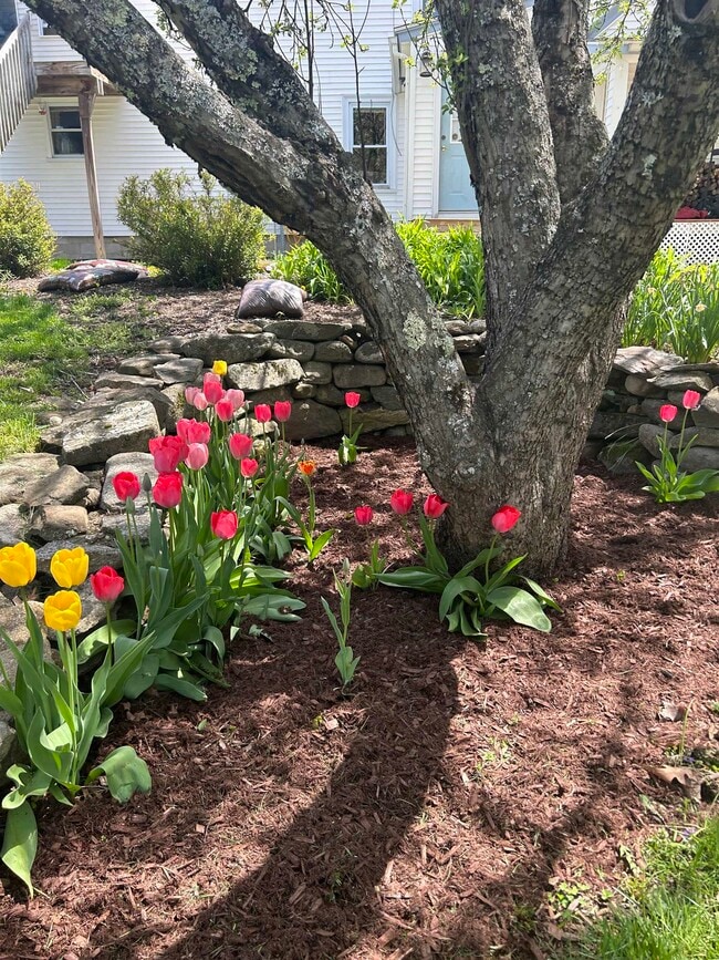 Building Photo - 293 Bear Hill Rd