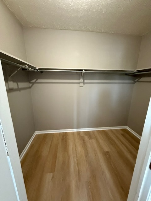 Building Photo - 2353 Gavinley Way