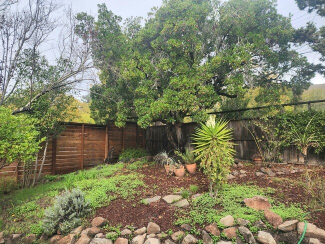 Building Photo - 721 Las Colindas Rd