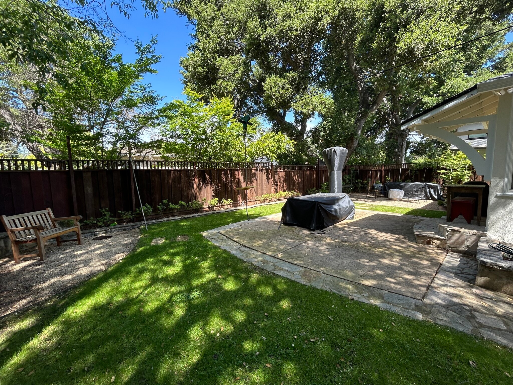 Backyard - 903 Timothy Ln