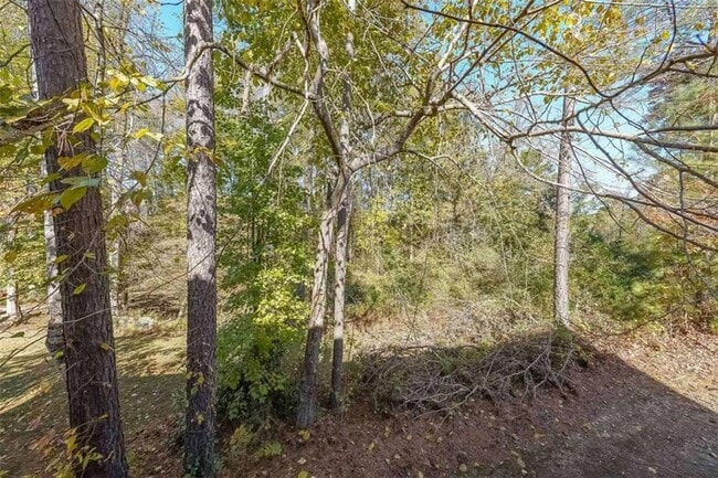 Building Photo - 1128 Southland Bluff