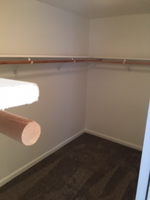 Building Photo - 6900 Calusa Ct