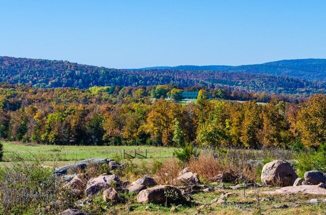 Building Photo - 512 Log Cabin