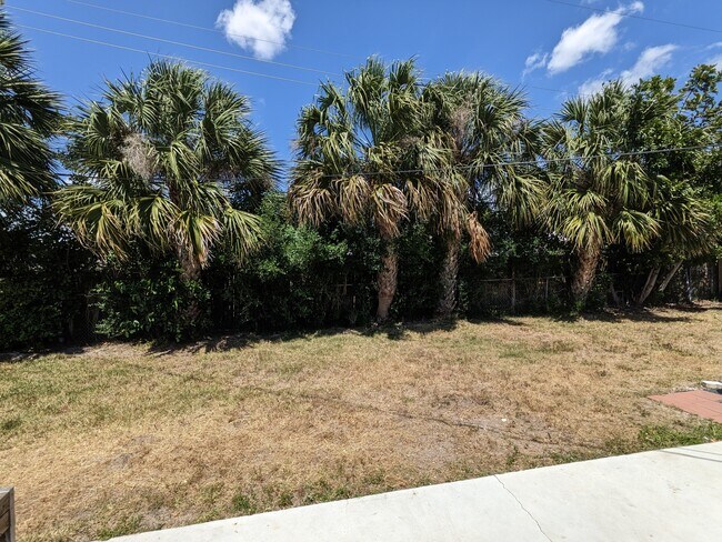 Backyard - 430 Patrick Ave