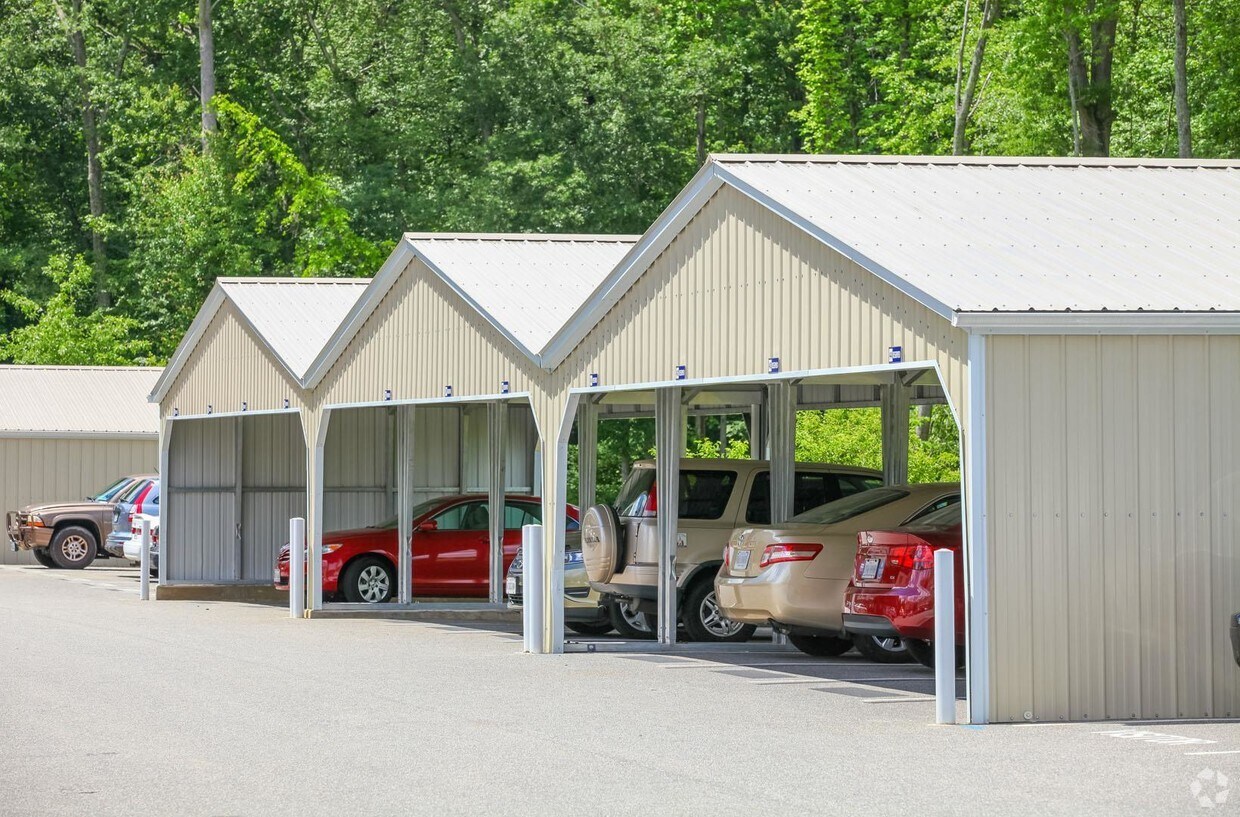 Alexander Heights Luxury Senior Apartments Fredericksburg Va Apartment Finder