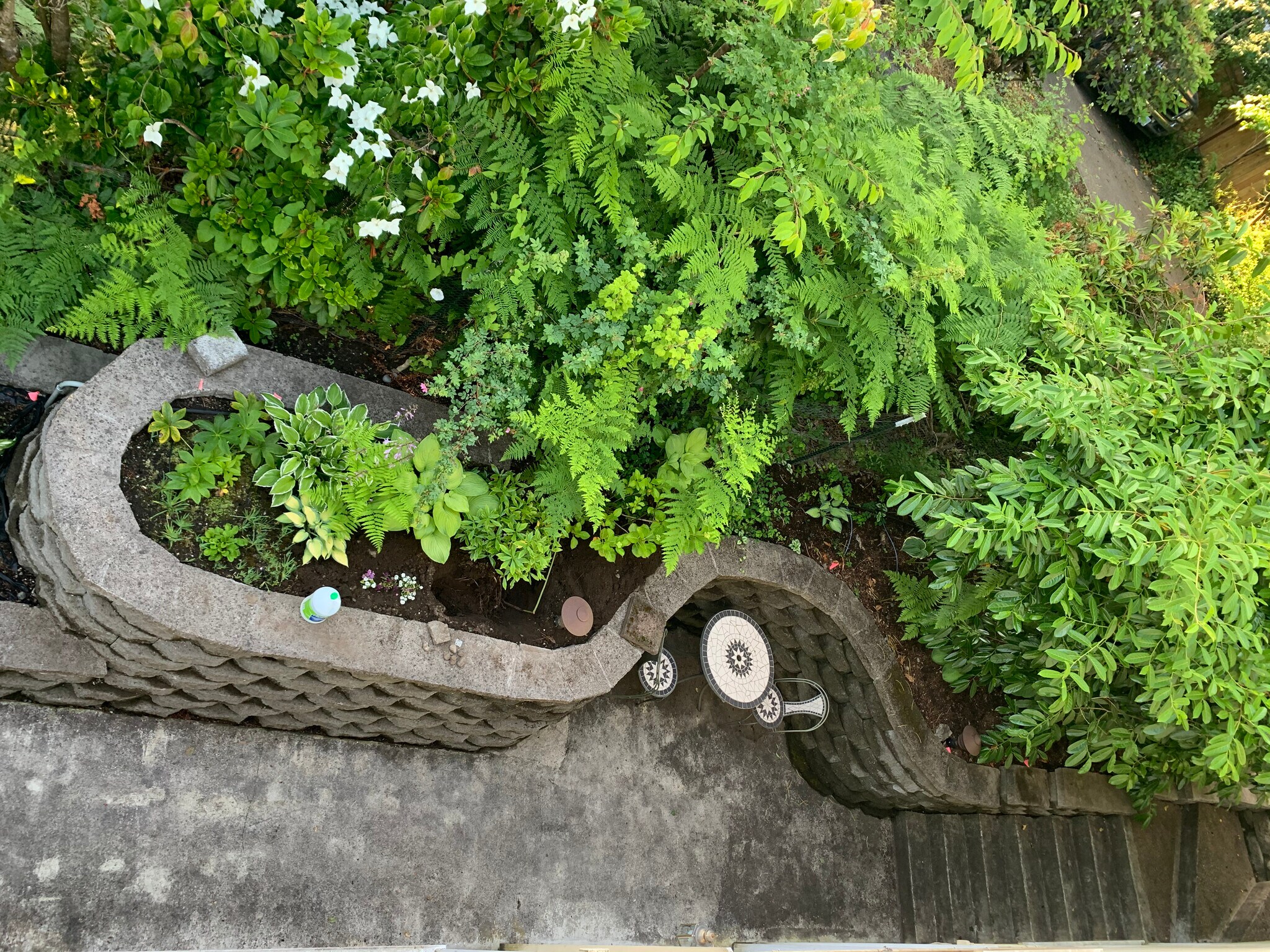 Side Garden - Outdoor Seating - 520 17th Ave SE
