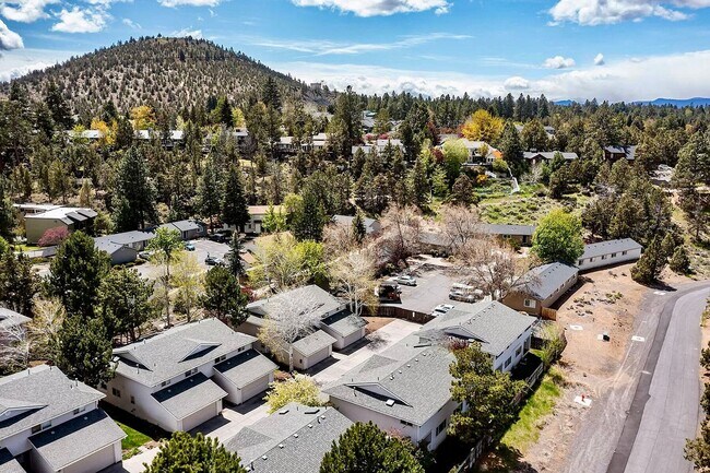 Building Photo - Water/Sewer/Garbage and landscaping included! A/C too!