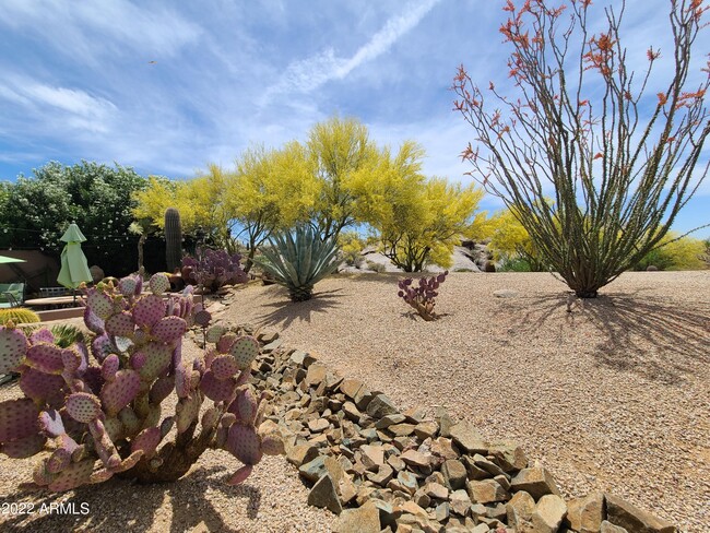 Building Photo - 1115 E Ocotillo Rd