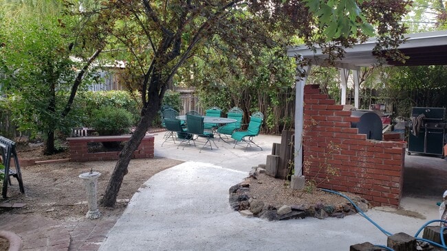 Back Yard - 1848 Alpine St