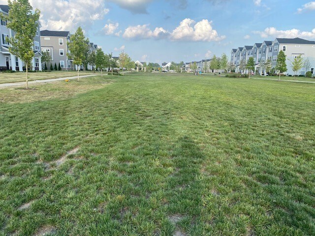 Building Photo - 4515 Chelsea Mnr Cir