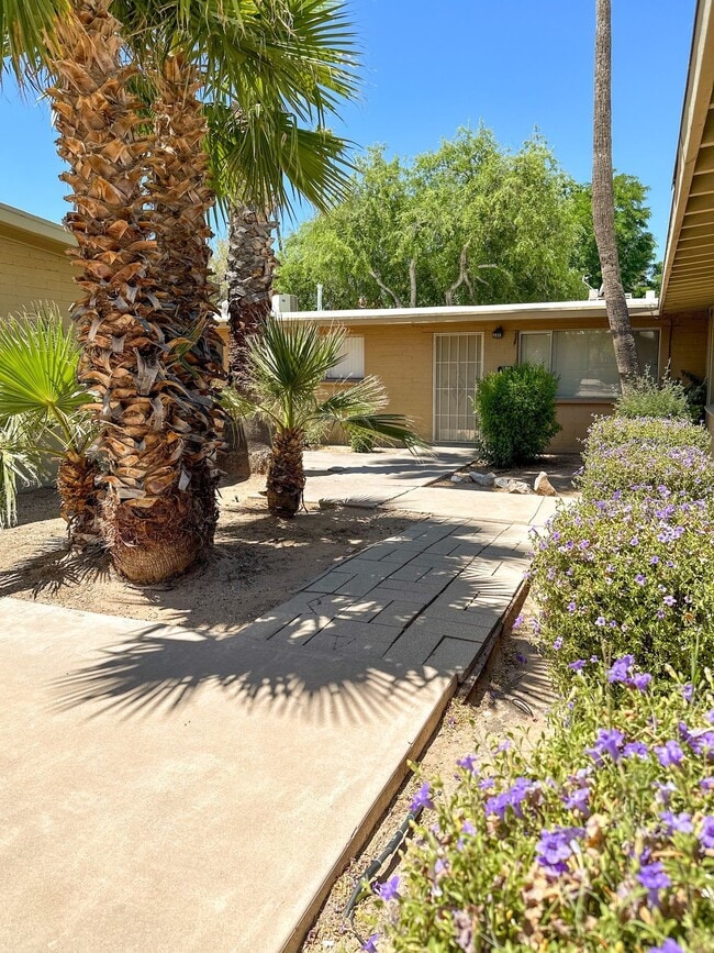 Building Photo - 1229 E Drachman St