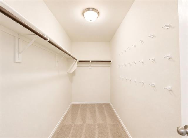 Building Photo - 4649 Greyberry Dr