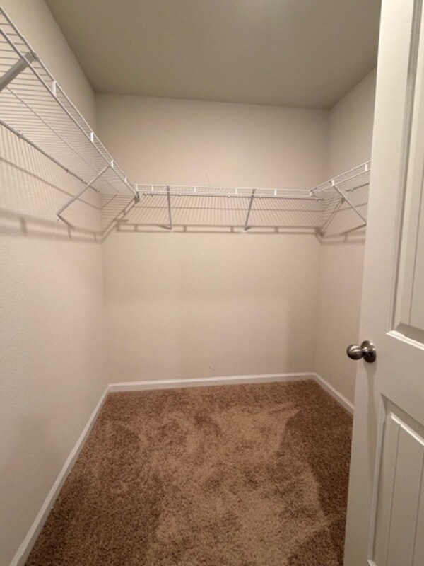 Building Photo - 925 Turkey Berry Ln