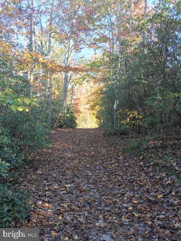 Building Photo - 28 Scotland Cir