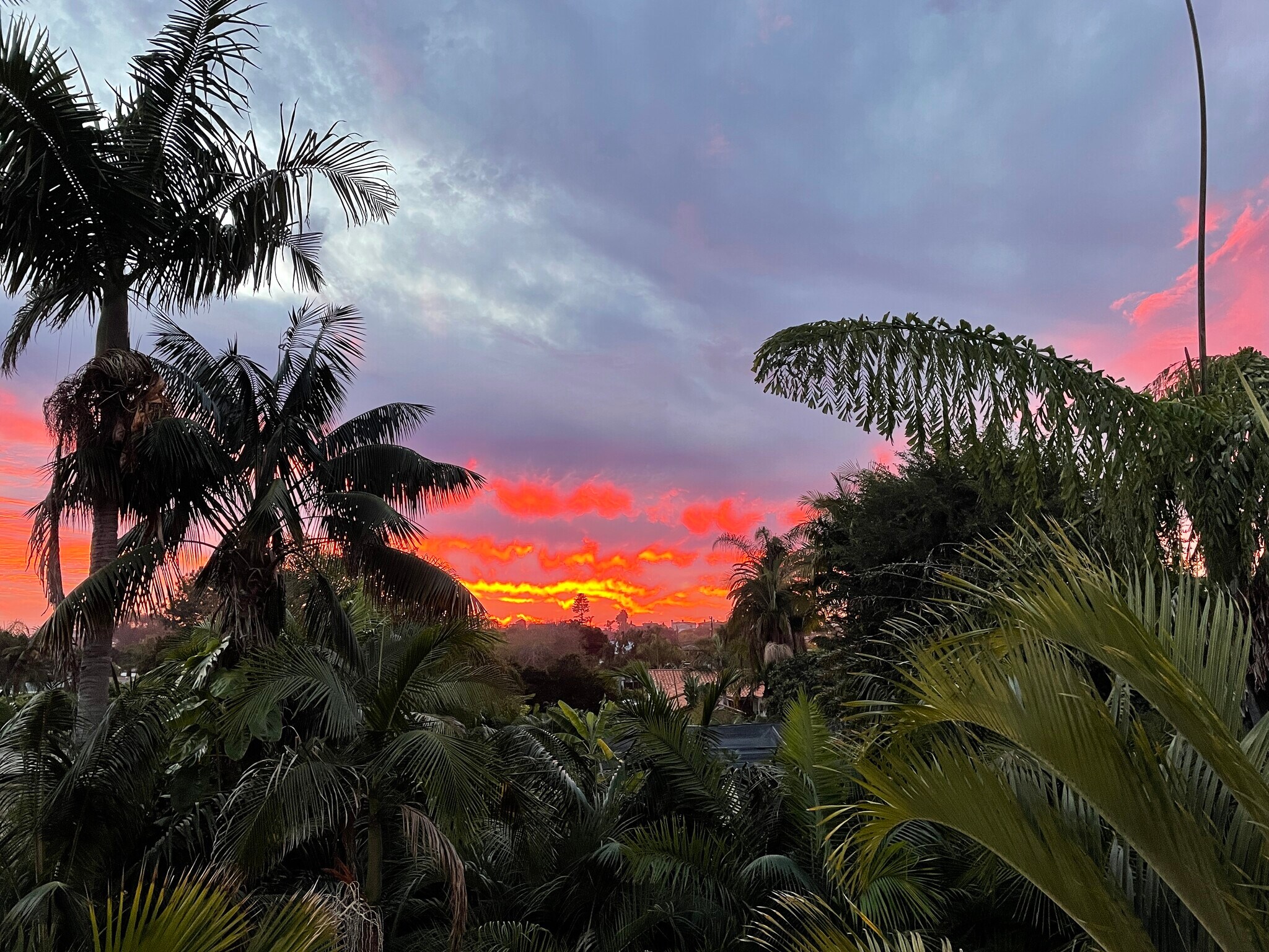 Sunset view from deck - 818 Hygeia Ave