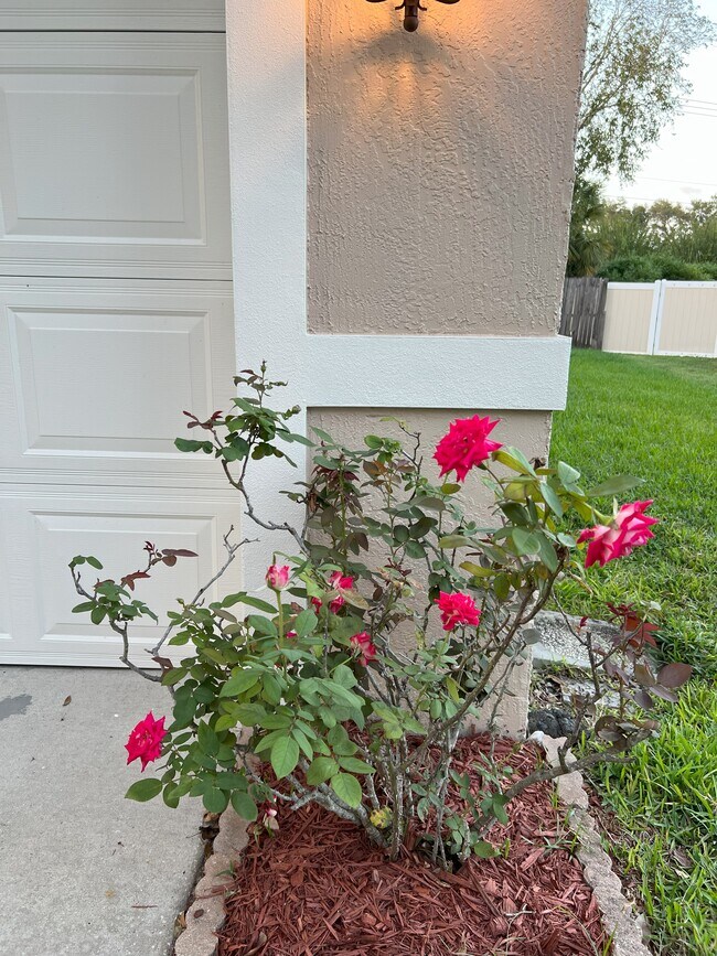Building Photo - 345 Silver Pine Dr