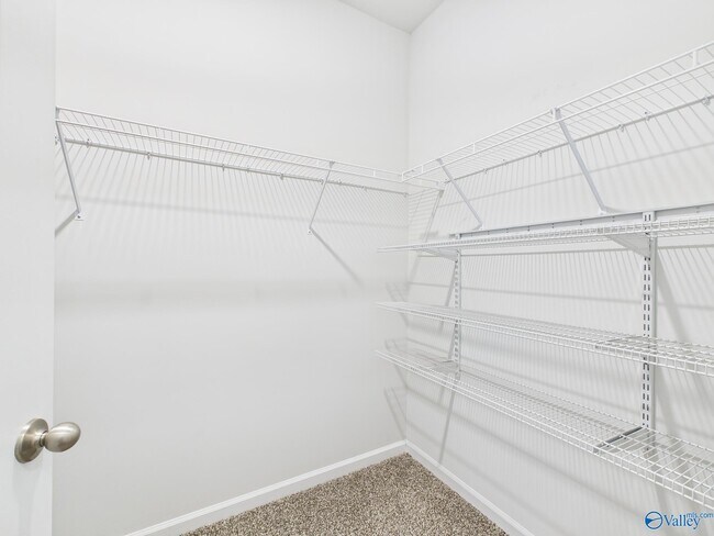 Building Photo - 157 High Leaf Dr