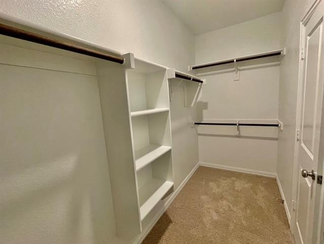 Building Photo - 8608 Whistling Duck Dr