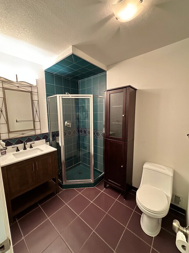 Downstairs 3/4 bathroom - 7393 S Washington Cir