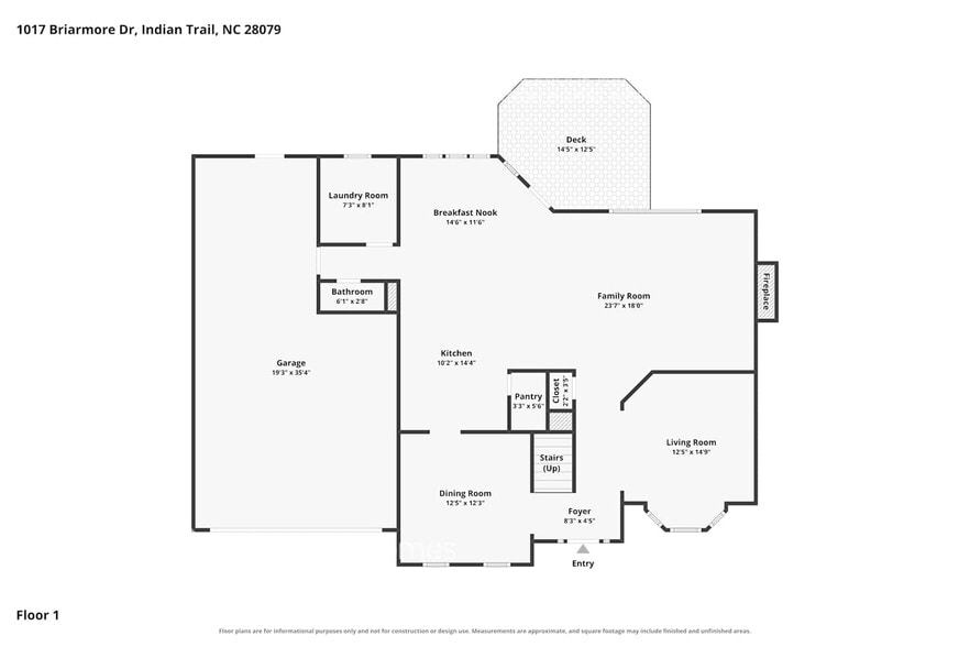 Building Photo - 1017 Briarmore Dr