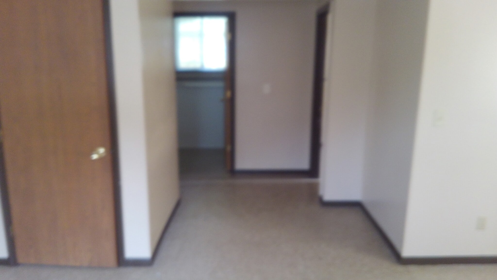 Bedroom - 1318 Albert Ave