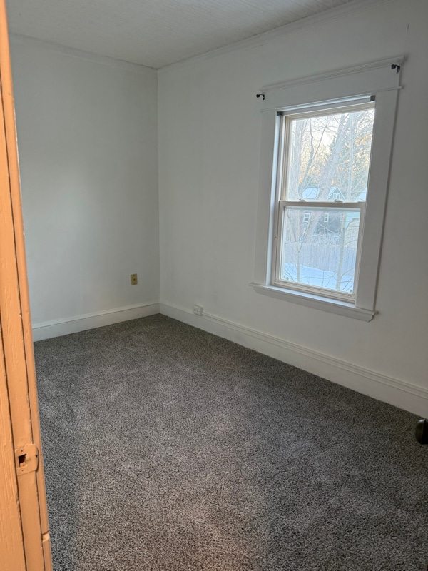 Building Photo - 52-52 Myrtle St