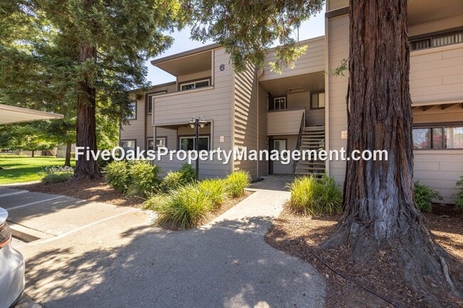 Primary Photo - 3715 Tallyho Dr