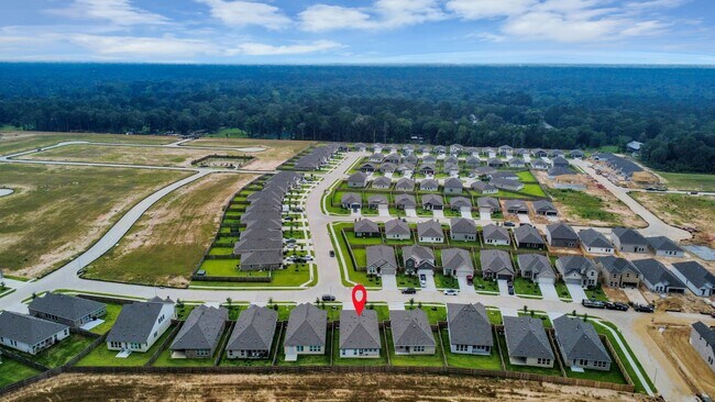 Building Photo - 31502 San Floro Dr